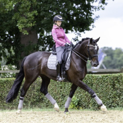 Mantilla doma LeMieux Carbon Mesh Square Gris