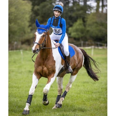 Portadorsal de competición LeMieux Benetton azul