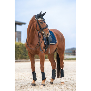 Orejeras Night Collection Back On Track Orejeras Night Collection Back On Track