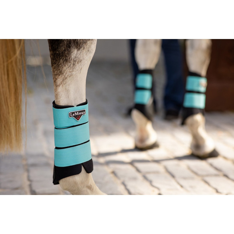 Protectores LeMieux Grafter Protectores LeMieux Grafter