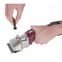 Torqui Aesculap Econom