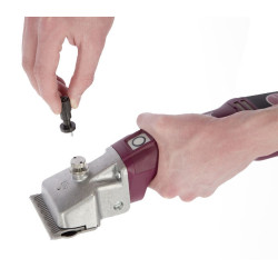 Torqui Aesculap Econom Torqui Aesculap Econom