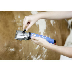 Torqui Aesculap Econom Torqui Aesculap Econom