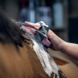 Esponja de ducha para caballos LeMieux Hippo | Equitación
