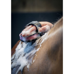 Esponja de ducha para caballos LeMieux Hippo | Equitación