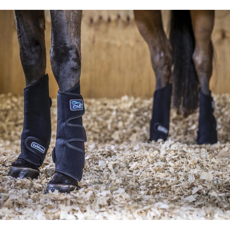 Botas de enfriamiento LeMieux Cooling Tendon (par) Botas de enfriamiento LeMieux Cooling Tendon (par)