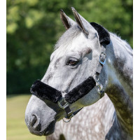 Cabezada de cuadra LeMieux Comfort Gris / negro