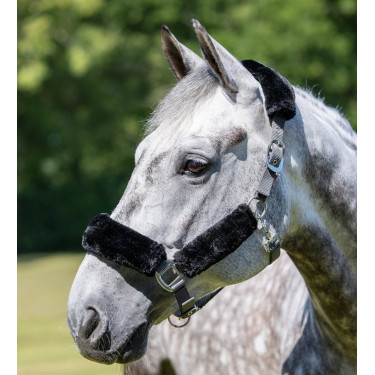 Cabezada de cuadra LeMieux Comfort Gris / negro Cabezada de cuadra LeMieux Comfort Gris / negro
