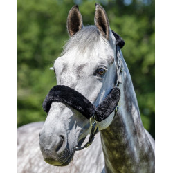 Cabezada de cuadra LeMieux Comfort Gris / negro Cabezada de cuadra LeMieux Comfort Gris / negro