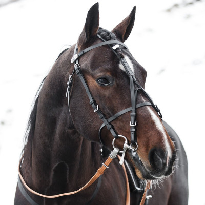 Brida Pro beta Finn-Tack Negro