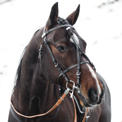 Chambón beta pro Finn-Tack