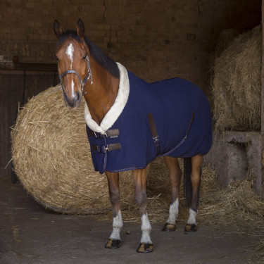 Manta polar Equi-Theme Teddy