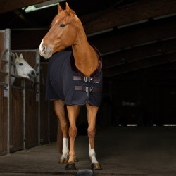 Manta polar Equi-Theme Teddy Manta polar Equi-Theme Teddy
