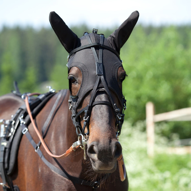 Orejeras Finn-Tack Orejeras Finn-Tack