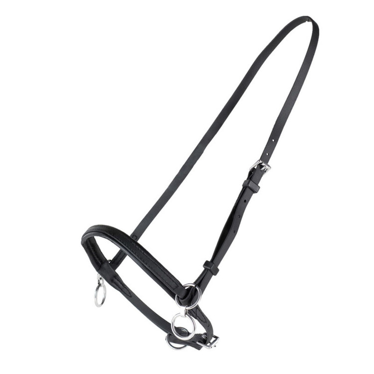 Cabezada síntetica con anillo Finn-Tack