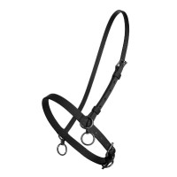 Cabezada de cuadra con anillo Finn-Tack Negro