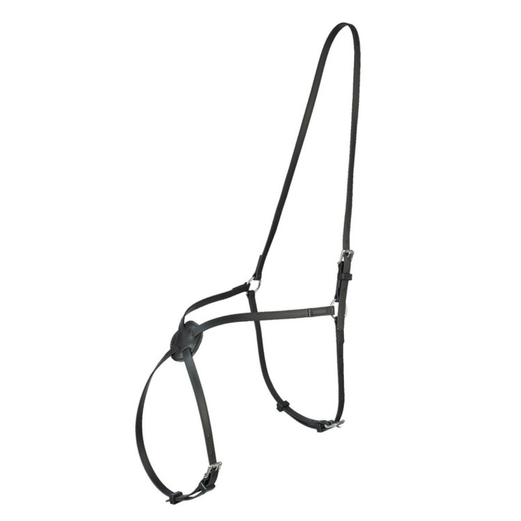 Cabezada mejicana 8 Finn-Tack