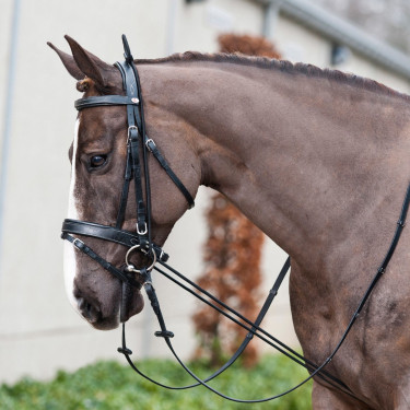 Equipamiento para estirar el cuello Finn-Tack