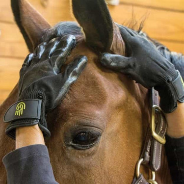 Guante Grooming LeMieux Hands On Guante Grooming LeMieux Hands On