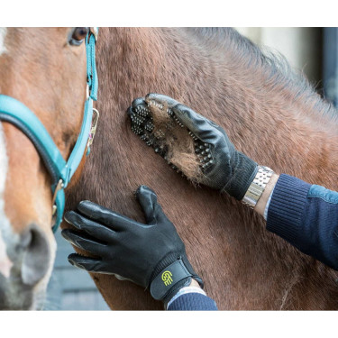Guante Grooming LeMieux Hands On Guante Grooming LeMieux Hands On