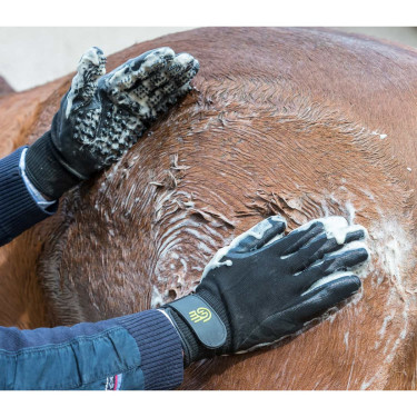 Guante Grooming LeMieux Hands On Guante Grooming LeMieux Hands On