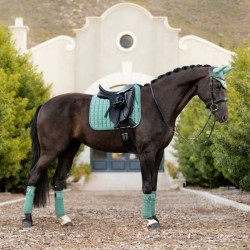 Mantilla LeMieux Loire Memory Dressage Square Sabio Azul