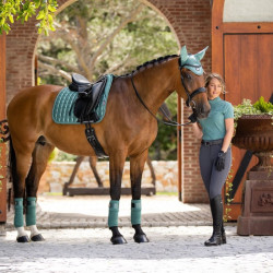 Mantilla LeMieux Loire Memory Dressage Square Sabio Azul