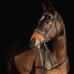 Cabezada Constance Horze Negro