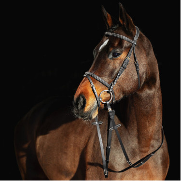 Cabezada Constance Horze Negro