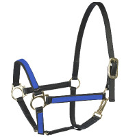 Cabezada Beta US 20 mm Finn-Tack Azul