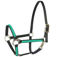 Cabezada Beta US 20 mm Finn-Tack Verde