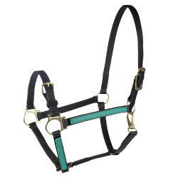 Cabezada abierta Beta US 20 mm Finn-Tack Verde