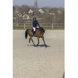 Cazadora Pro Series Equilibre Azul marino Cazadora Pro Series Equilibre Azul marino