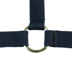 Cabezada de cuadra de nylon Finn-Tack Azul oscuro