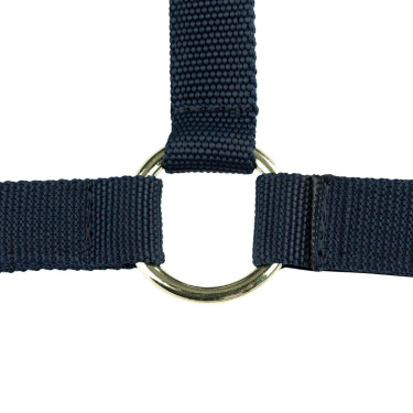 Cabezada de cuadra de nylon Finn-Tack Azul oscuro