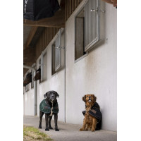 Manta de nylon Diego & Louna "Teddy" Negro