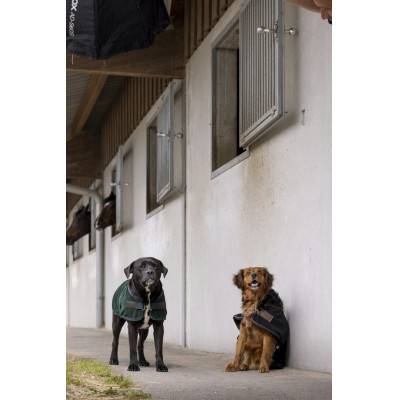 Manta de nylon Diego & Louna "Teddy" Negro