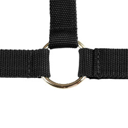 Cabezada de cuadra de nylon Finn-Tack