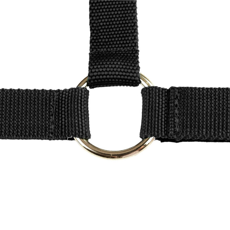Cabezada de cuadra de nylon Finn-Tack