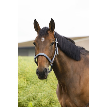 Cabezada de cuadra Equithème "Air" Gris