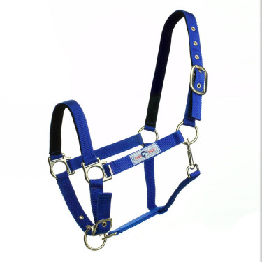 Cabezada de nylon Finn-Tack Azul