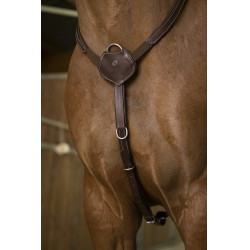 Pechopetral NORTON PRO "Confort" Pechopetral NORTON PRO "Confort"