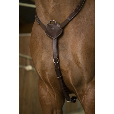 Pechopetral NORTON PRO "Confort" Pechopetral NORTON PRO "Confort"