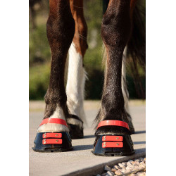 Correas Scoot Boots Correas Scoot Boots