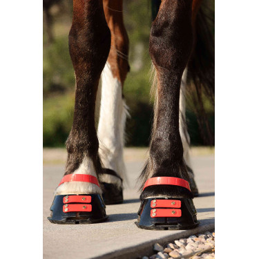 Correas Scoot Boots Correas Scoot Boots