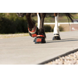 Correas Scoot Boots Correas Scoot Boots