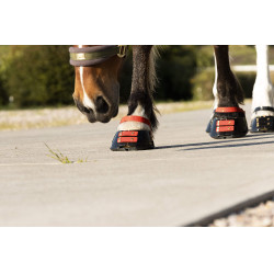 Correas Scoot Boots Correas Scoot Boots