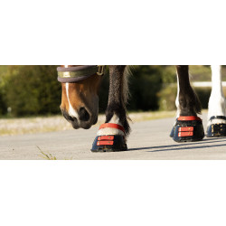 Correas Scoot Boots Correas Scoot Boots