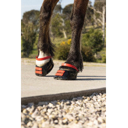 Correas Scoot Boots Correas Scoot Boots