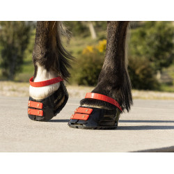Correas Scoot Boots Correas Scoot Boots